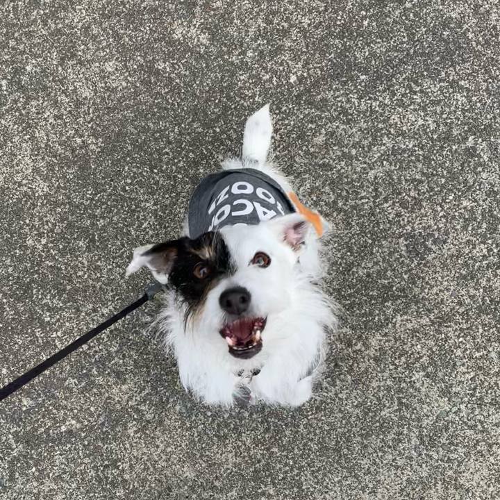 76bcec18 af5a 407b b3bf 62dcbc8ae276 1680826009632