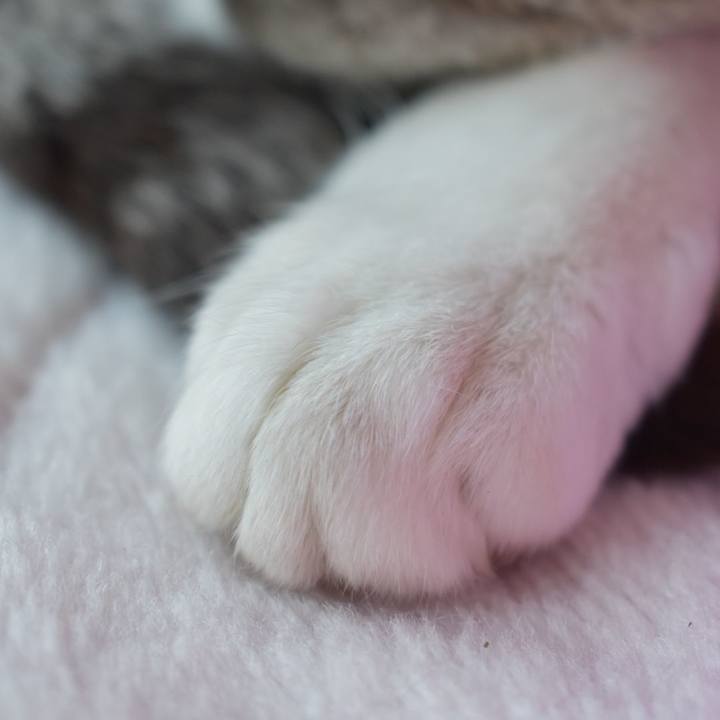 76bcf59f ab9c 4714 9237 50117c20ab1e 1582260434896