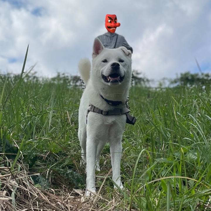 76bd00b9 26cf 4c8d a9a9 6e7a54ed9728 1730688748937