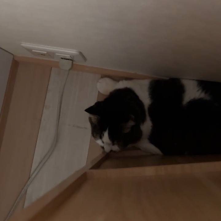 76bd64bc d3a4 48a0 af90 89200ed054e5 1774168512396