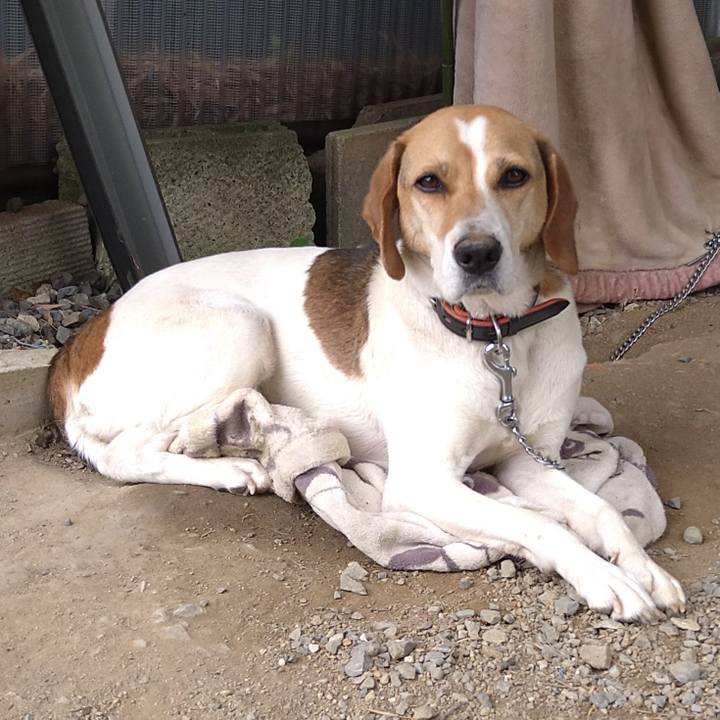 76bd694b 388d 40c4 8d75 186773dde34f 1622697267333