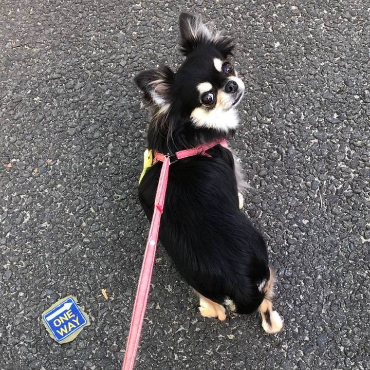 76bd6cd5 21c0 4ba3 9e60 f5d7ac980cee 1600735435560