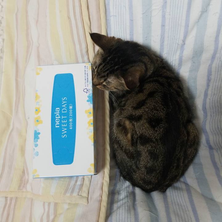 76bd7a78 a245 4887 be9e d717ddf699f6 1587504553952