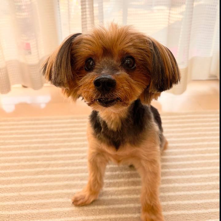 76bd878d 2897 4b34 bec2 062084aea045 1731575885580