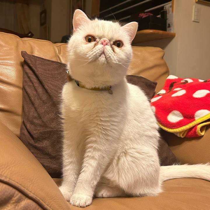 76bdf6ec bbf2 4f17 96ca aa9ca8d76a93 1740917498162