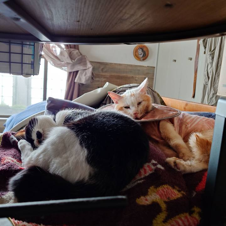 76be1f64 8978 4c6e ba88 414735e28ebe 1760835956810