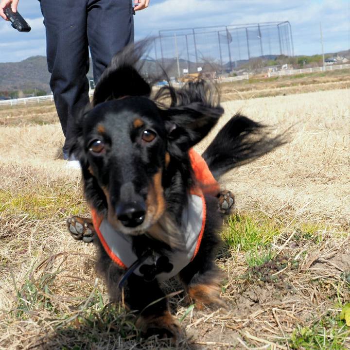 76be3dbc 2408 401e a8b1 62d97e96d153 1549082269413