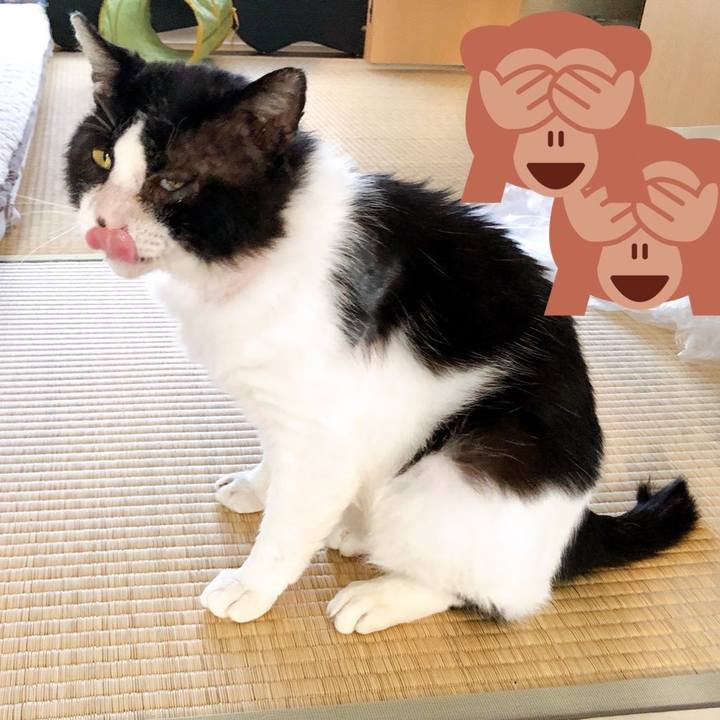 76be3f71 3ee2 411b b57c b222b32f969d 1658671463664