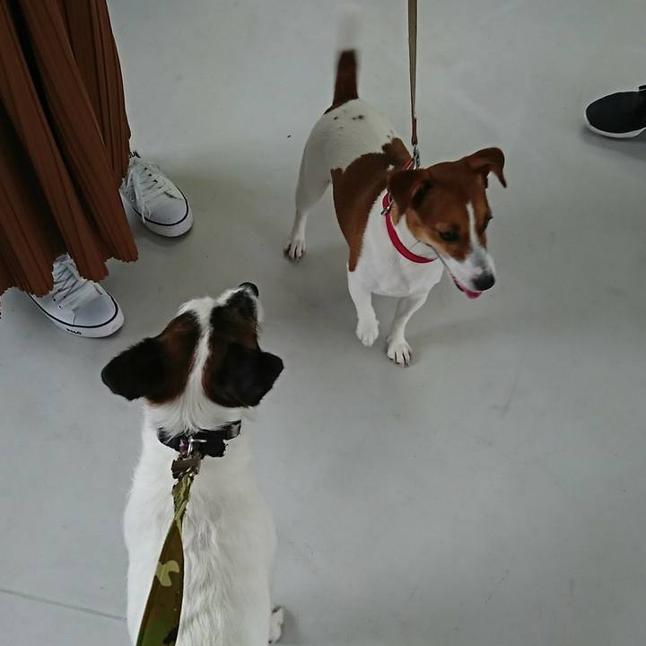 76be8cff 0d97 446e a958 81a10b11ffc3 1527335616183