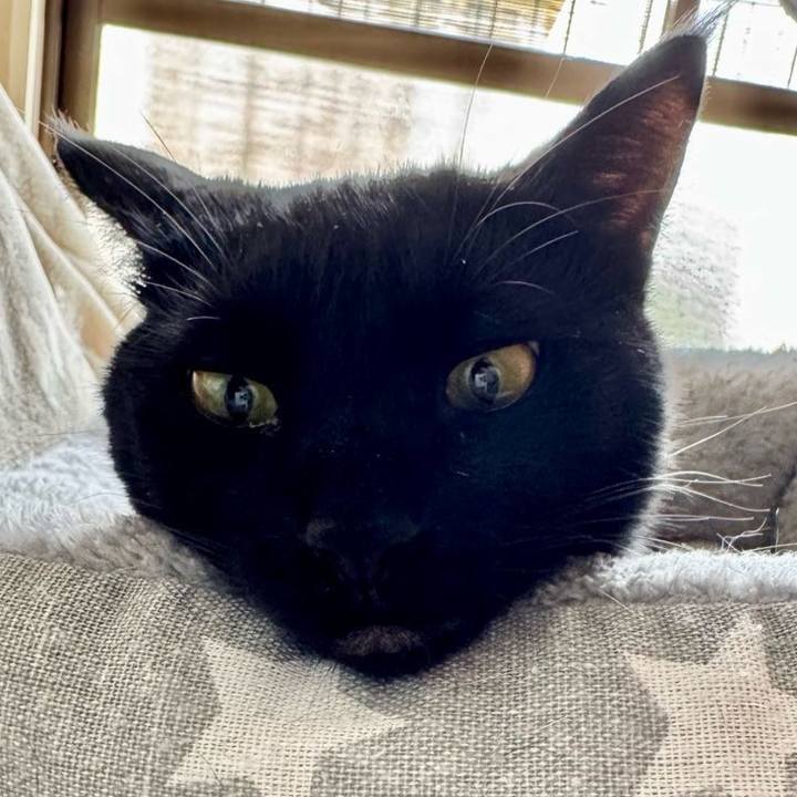 76beac8b eb27 4a31 a04d 3bbd080b7e57 1744848837026