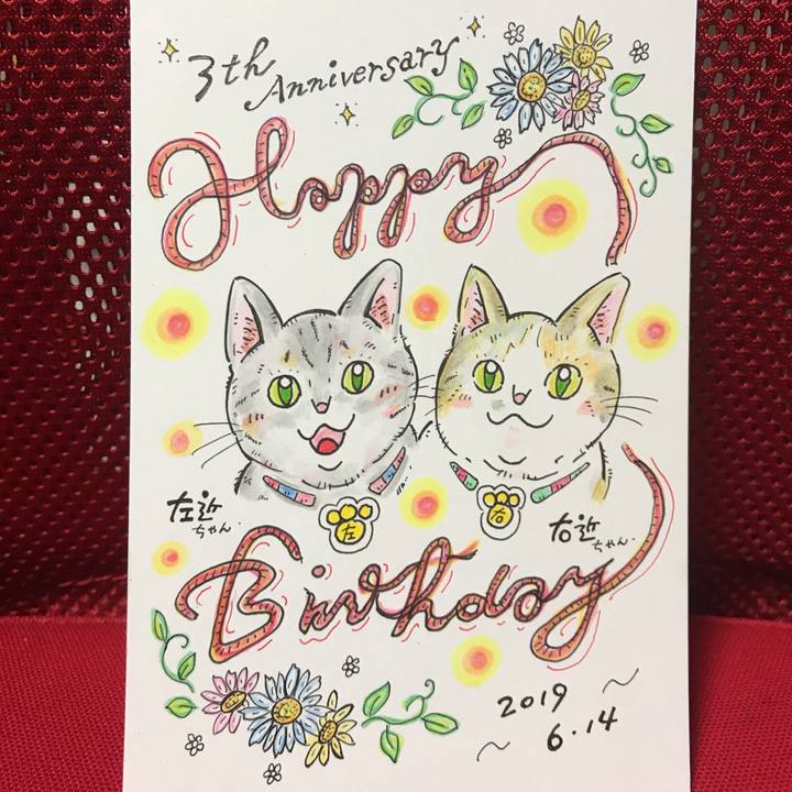 76beaf88 c55f 4f61 9267 031e00070bcf 1560516462406