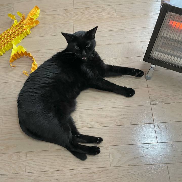 76beb716 3055 4dac a0c8 3250645d7639 1705803147963