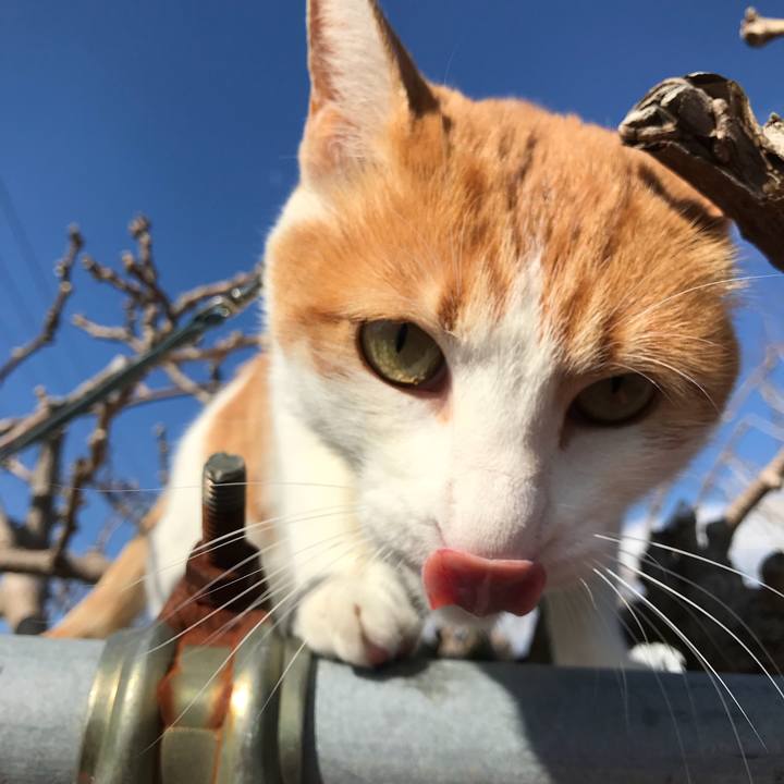 76beb973 ed0c 4ca5 96e6 e64a568d2275 1520833126455