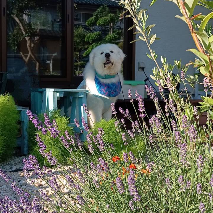 76bec6da 929f 44fa abfb 0bc29455ef22 1716986540100