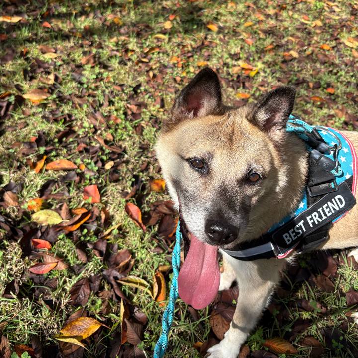 76bec8d9 a739 41ec 965a 2dd0bdb6698e 1759654344534