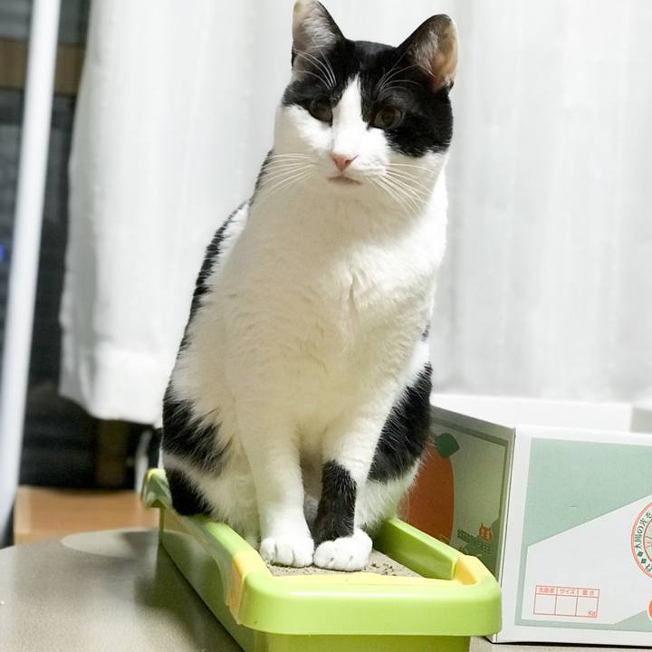 76bed287 ff50 4b90 8e12 d04fa1a56018 1521034041638