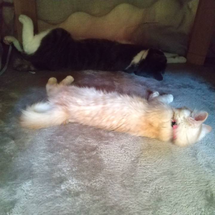 76bed9ef e367 46c2 a6a4 e9d787b41b92 1605334611143