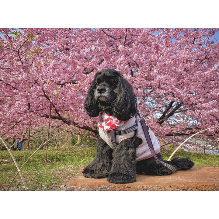 76bee515 df7d 495a bafb 7836e6612497 1709459445202