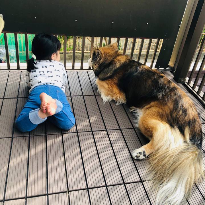 76bee72b e5f0 4616 9f1b 94856dbf6491 1620617434768