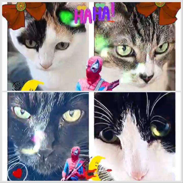 76bef39c cbc5 42be a48c a6e82e36be08 1673754465284