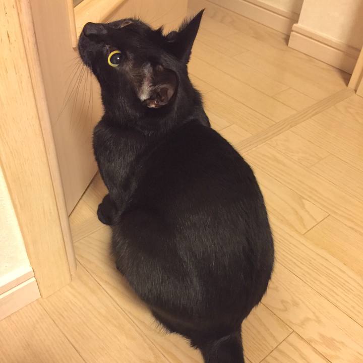 76bf8fa0 50a0 422c b9fa ba5dd5bd6193 1507649624045