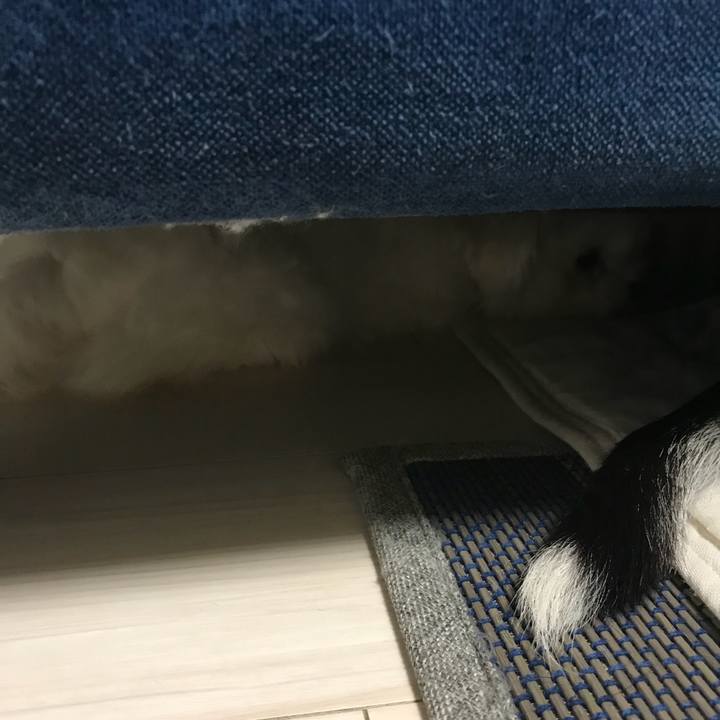 76bf9dc1 f392 4a1b 8494 45ee6a74d4a9 1538910075839