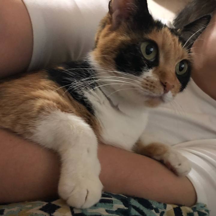 76bfa249 f129 4151 b694 6f7d4d5a2232 1570279545094