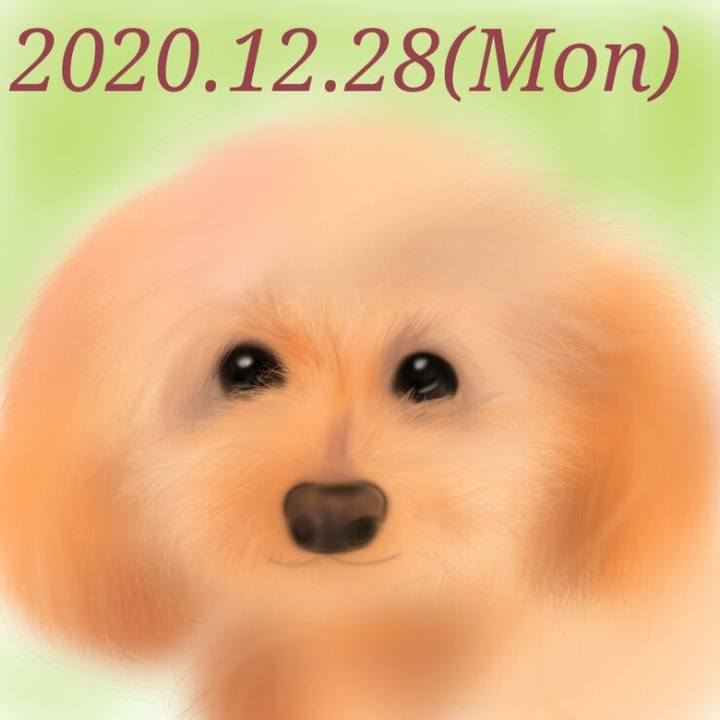 76bfb6db 4819 4421 80cd 6f8db0096b84 1609163347734