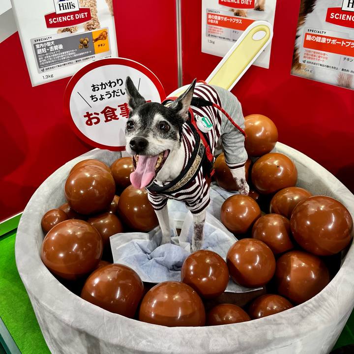 76bfc92e feef 4355 9d93 b31fb1c516d2 1651662259070