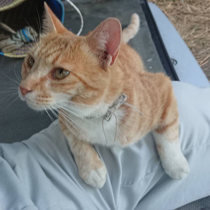 76bfd3fa f8c3 4121 8586 1126a5128919 1592386556585