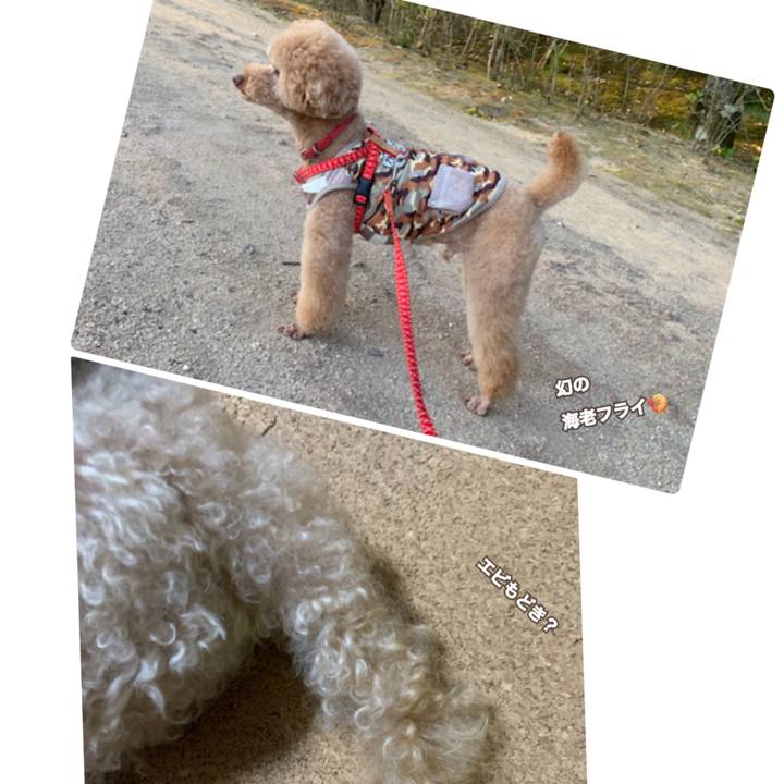 76bfedaa 7871 432c 956e 61b1becc9fc3 1630583607522