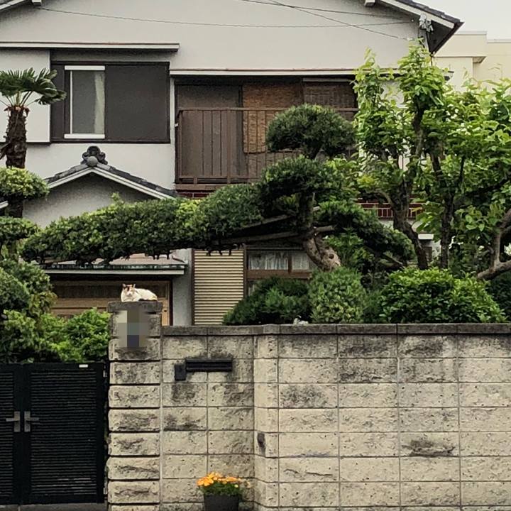 76bff697 3ba3 4686 b7d8 0d2806413fcd 1525079289862