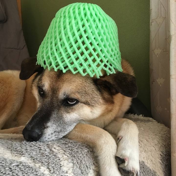 76c003a4 56dc 4065 96fe 0b04f32a3513 1533266762736