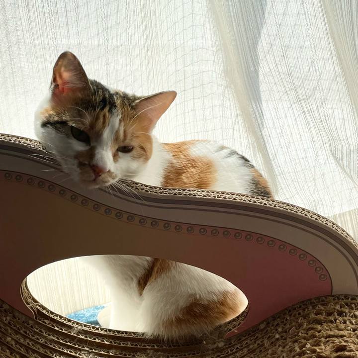 76c02bd6 47b1 4504 a9f9 10a2406f367f 1614403245594