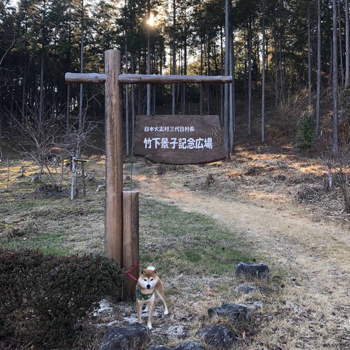 76c07db3 704e 4571 987b b6989aa8f0b4 1547456106512