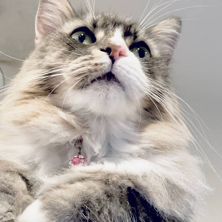 76c07e3f eb38 4e39 81cd 2e49d5aa6551 1759678197450