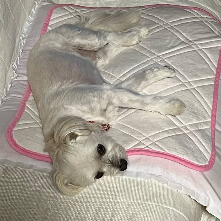 76c0a820 d733 4207 8e58 ec53bcefa458 1663590502267