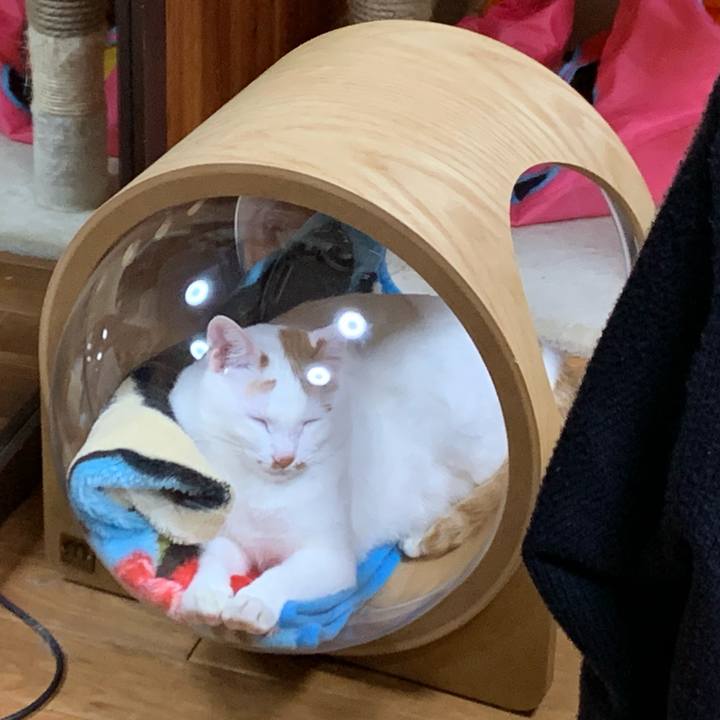 76c0e5e2 a8f5 48c4 ab40 71b1939492d2 1581543277233