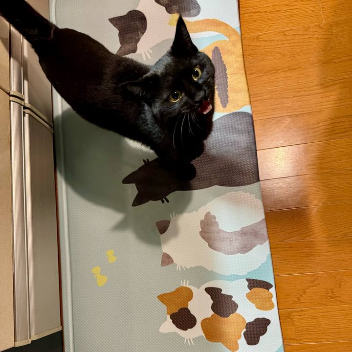 76c0f263 6258 4c0c ba4b 6185d8aa3f61 1765666421895