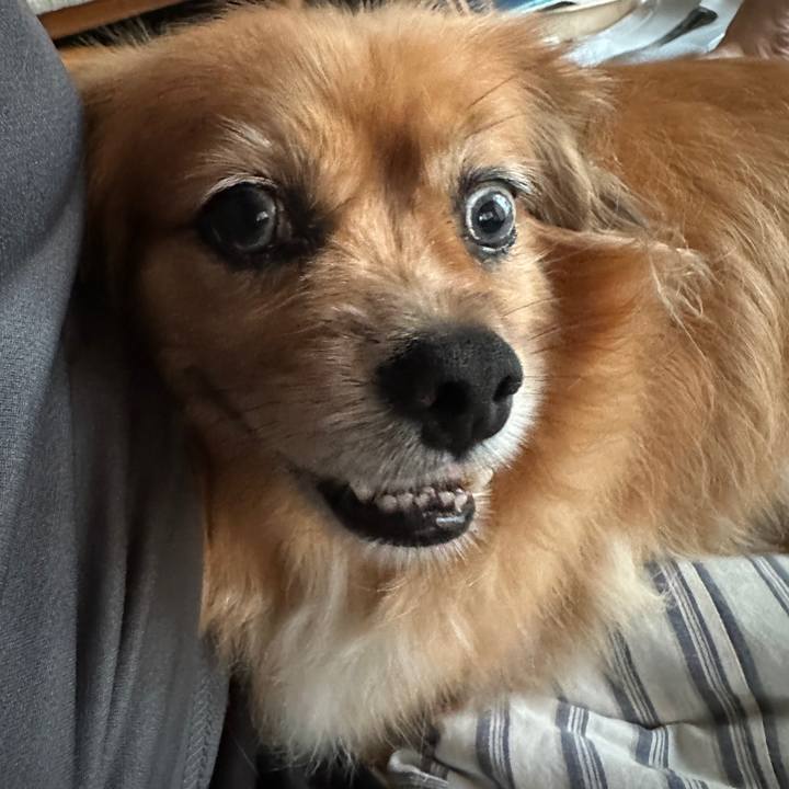 76c0f6e2 0b76 48de a9b1 7daf8b05f111 1724187336471