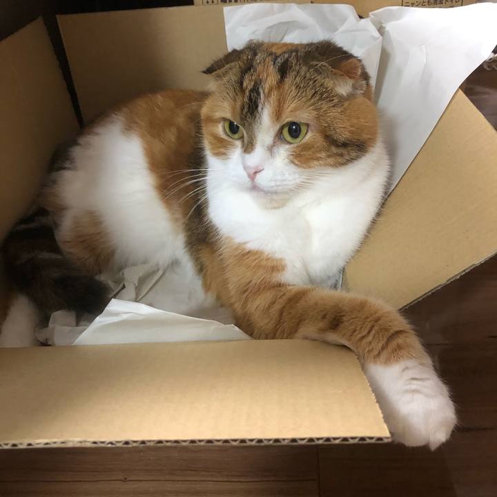 76c0f822 e60a 4ef9 abc8 abe42f2d663d 1573134037714