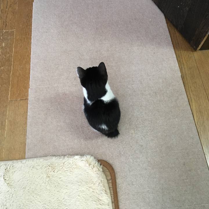 76c11310 51c4 46dc 97e4 f0f058ac0690 1579934682782