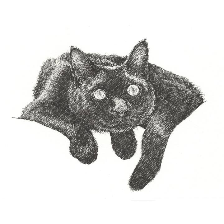 76c117c2 bf22 4c9b a143 f3bd2e2edaf5 1574516215411