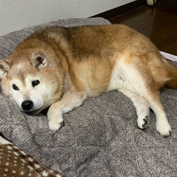 76c15a99 809c 40ef a3ec b3bec0d4ca83 1686564974973