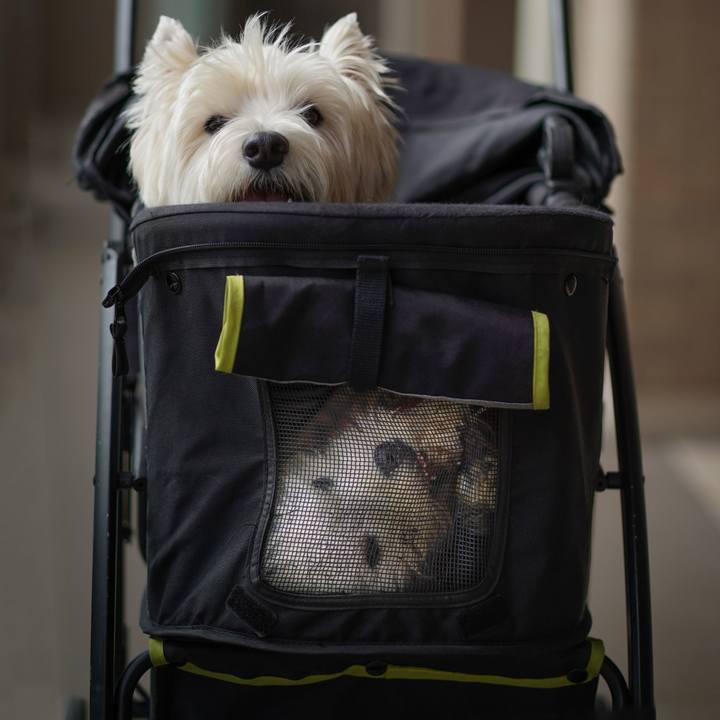 76c16dfa 3635 4678 96b0 10053429fee4 1536671875775