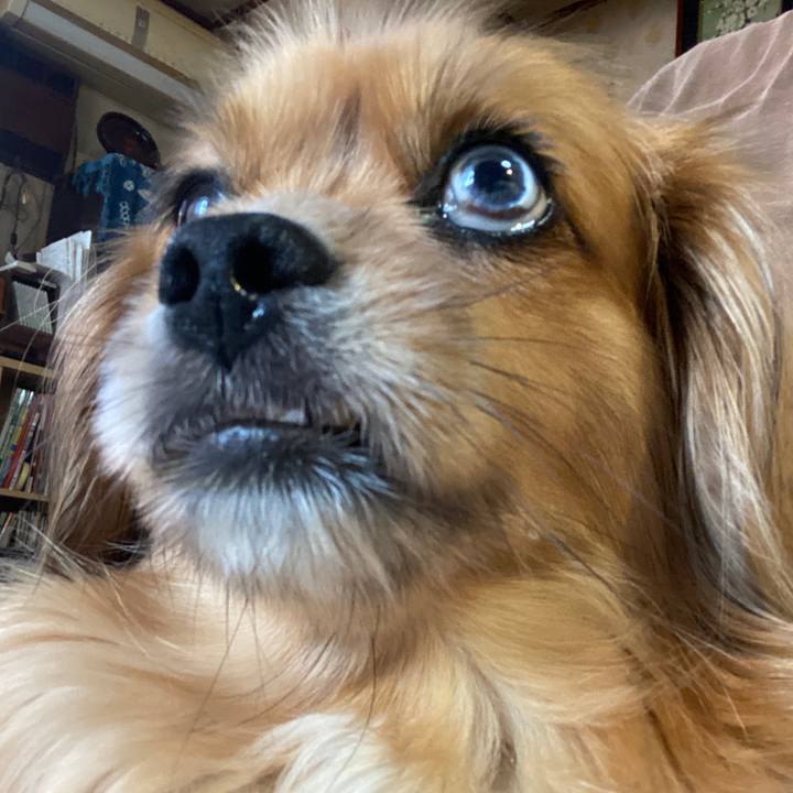 76c18162 b312 4549 8dae 84c7dcb5127c 1624483495546