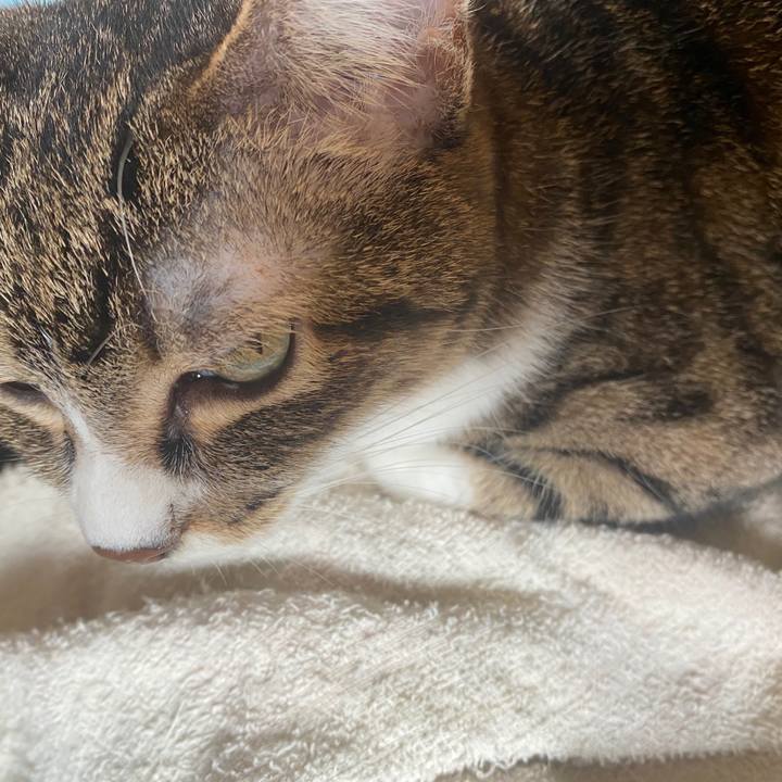 76c181c4 03f4 4565 b3ae 3d055a29a396 1595203425261