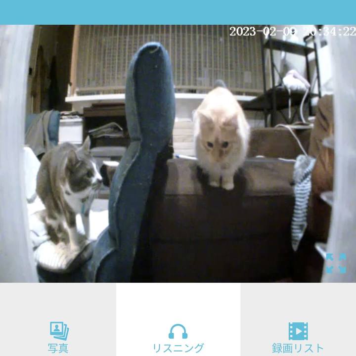 76c18a30 46bc 42ea ac75 390dba0ac10c 1675943855331