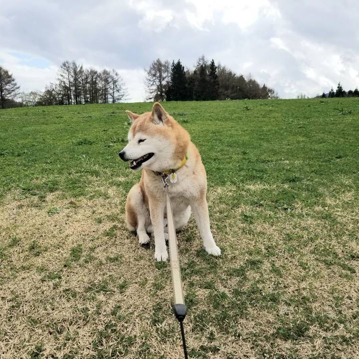 76c1b272 6515 4e5e a8b4 5e5e73ef20d7 1680929282554