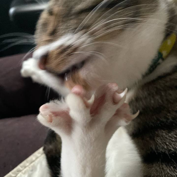 76c1f60a dbb3 4893 b96d d7ba3499e7ee 1646091213548